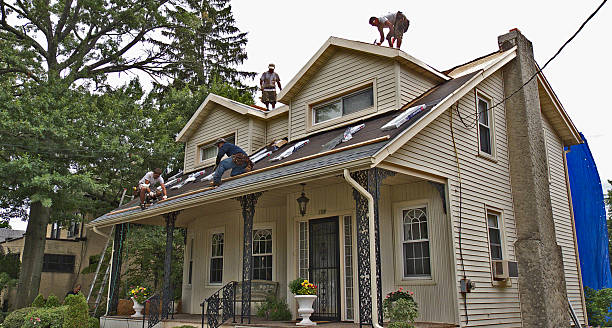 Roof Gutter Cleaning in Ammon, ID
